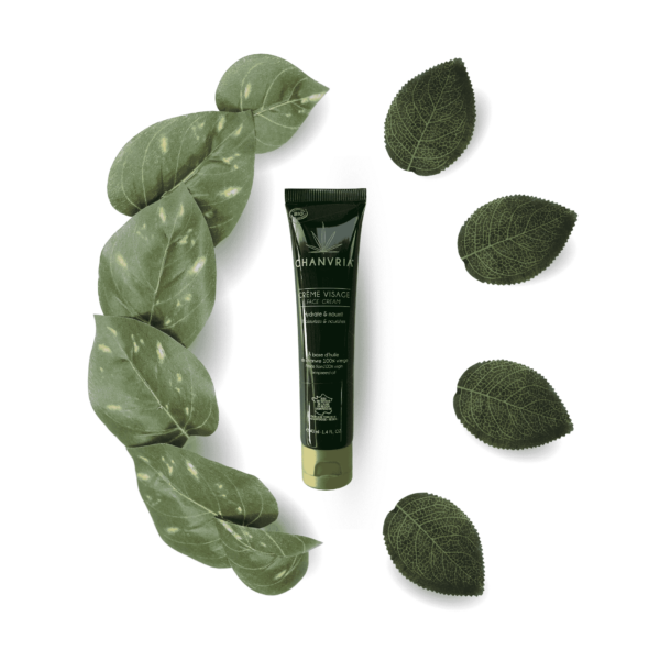 Baume Crème du Visage Apaisante - Chanvria - Huile de chanvre Bio 100% vierge