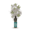 E-liquide CBD Booster 2000 mg